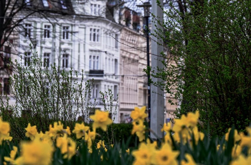 Frühjahrscheck für Ihre Mietwohnung in Görlitz