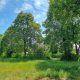 Lust auf Bauen - Baugrundstück in Kaltwasser 1620m² - Baugrundstück Bild 3