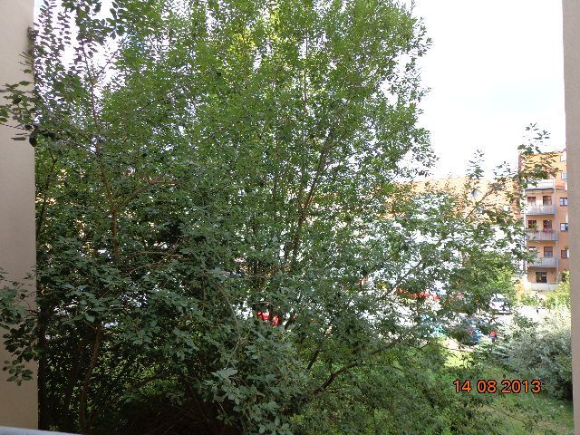 helle 3- RWE mit Balkon und Fahrstuhl im Zentrum von Görlitz ! - Photo 2