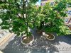 gemütliche 2- Raumwohnung im Dachgeschoss / Maisonette in der Görlitzer Altstadt ! - IMG-20250526-WA0034