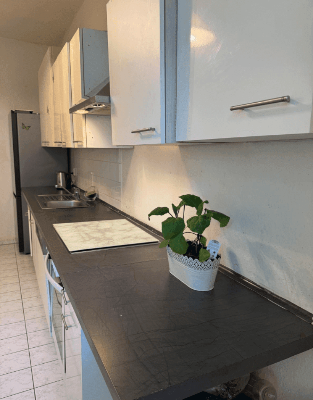 gemütliche 3- Raumwohnung im beruhigten Innenstadtbereich (Einbauküche möglich) ! 02826 Görlitz, Etagenwohnung