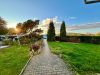 ruhige 3- RWE im Erdgeschoss mit Garten auf dem Land ! - Garten mit Seeblick