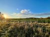 ruhige 3- RWE im Erdgeschoss mit Garten auf dem Land ! - Weite grüne Landschaft