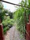 ruhige 2- RWE mit separaten Eingang, Einbauküche und Garten in Görlitz ! - Gartenweg mit Pflanzen
