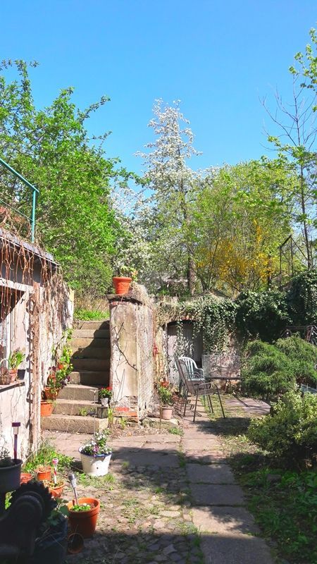 1- Raumwohnung mit separater Küche in der Görlitzer Altstadt ! - Photo 2
