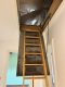 große 3- RWE mit Balkon und Einbauküche in der Görlitzer Innenstadt ! - IMG-20250612-WA0099