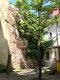 gemütliche 2- Raumwohnung an der Peterskirche in der Görlitzer Altstadt ! - IMG-20210603-WA0014