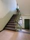 zentrale 3- RWE mit Balkon und separater Küche ! - Treppenhaus mit Pflanze