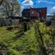 Ihr neues Zuhause - Familienglück mit Garten im Grünen - Garten_2